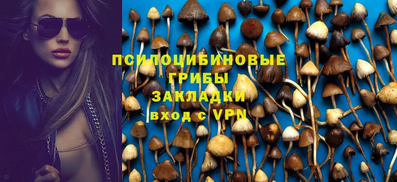 купить закладку  Электроугли  Галлюциногенные грибы Magic Shrooms 